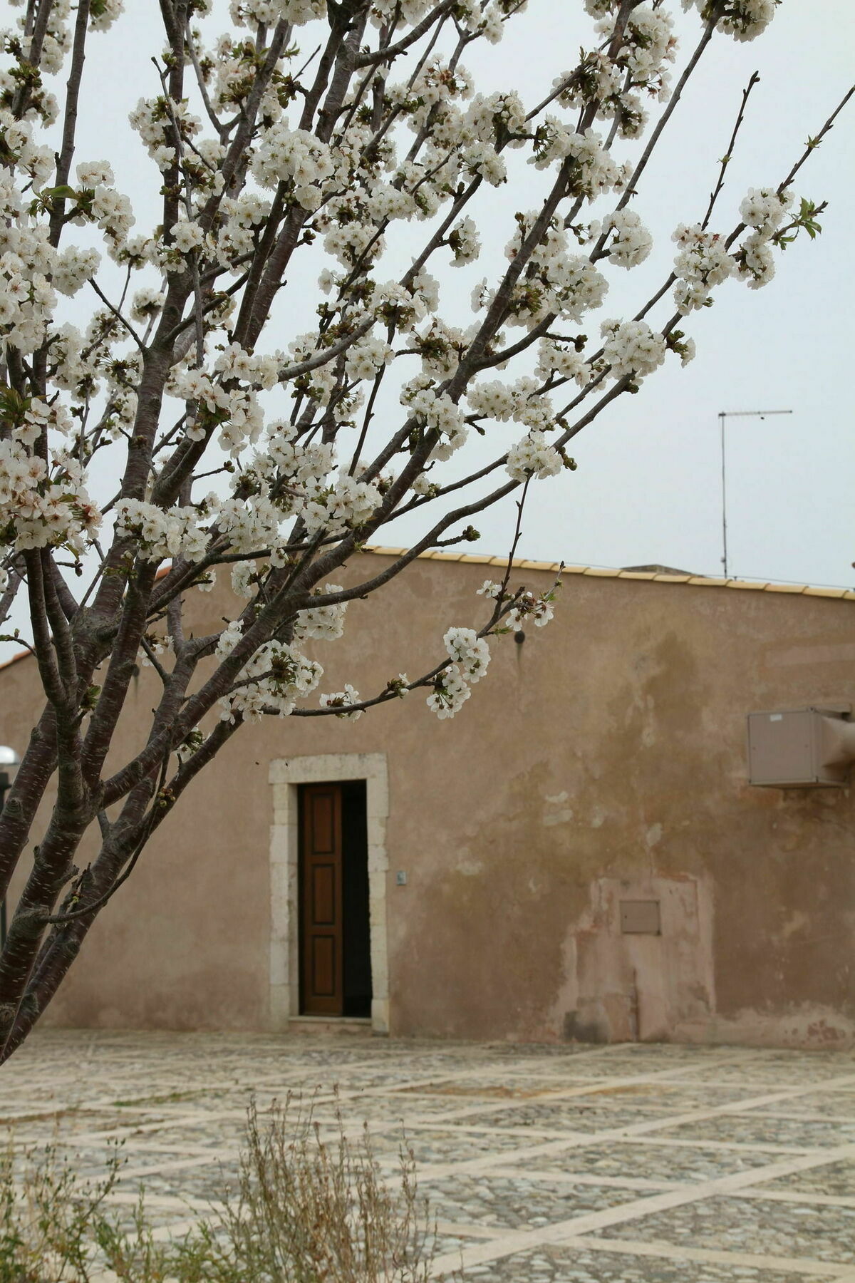 Eremo Madonna Delle Grazie Guest House Авола Екстериор снимка